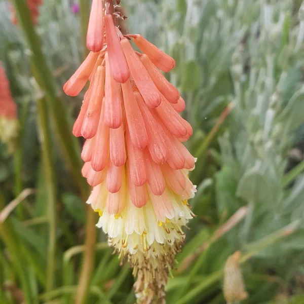 博彩网站棋牌游戏